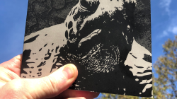 a hand holding a book cover of a dragon turtle