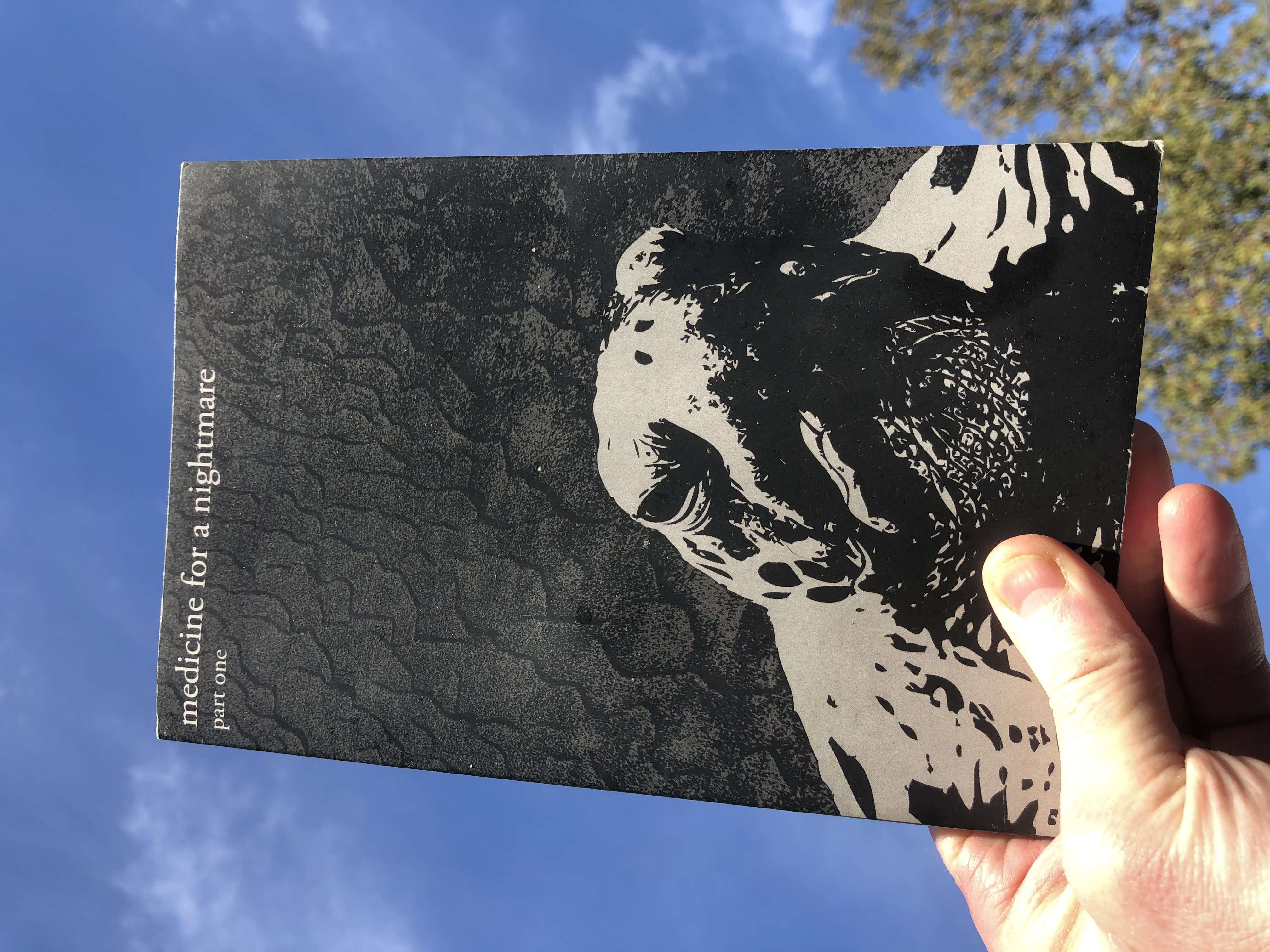 a book with a turtle on the cover