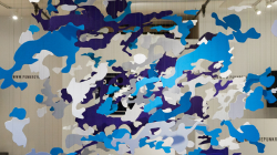 paralax camoflauge